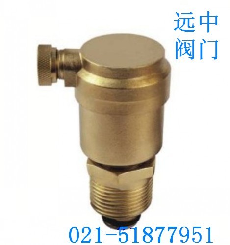 供应自动排气阀AVAX